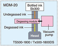 MDM 20